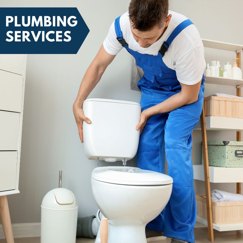Plumbing Company in Chemung, NY